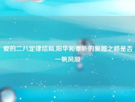 爱的二八定律结局,阳华和秦施的复婚之路是否一帆风顺
