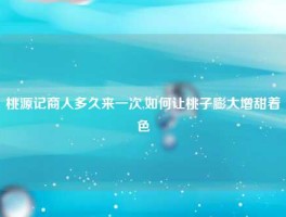 桃源记商人多久来一次,如何让桃子膨大增甜着色