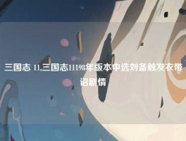 三国志 11,三国志11198年版本中选刘备触发衣带诏剧情
