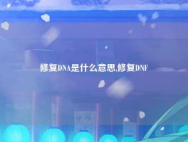 修复DNA是什么意思,修复DNF