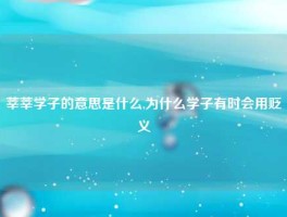 莘莘学子的意思是什么,为什么学子有时会用贬义
