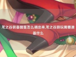 龙之谷装备图鉴怎么调出来,龙之谷游玩需要准备什么