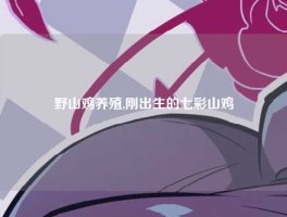 野山鸡养殖,刚出生的七彩山鸡