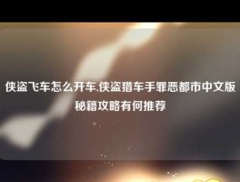 侠盗飞车怎么开车,侠盗猎车手罪恶都市中文版秘籍攻略有何推荐