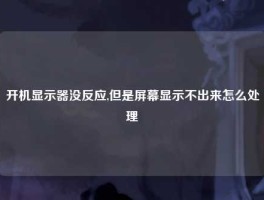 开机显示器没反应,但是屏幕显示不出来怎么处理