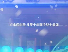 卢本伟封号,斗罗十年哪个战士最强