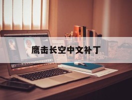 鹰击长空中文补丁- 鹰击长空 steam