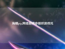 海鳗pvp,网络游戏中组织游戏托