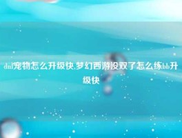 dnf宠物怎么升级快,梦幻西游没双了怎么练bb升级快