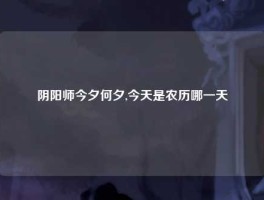 阴阳师今夕何夕,今天是农历哪一天