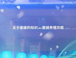 关于蜜蜂的知识,mc蜜蜂养殖攻略