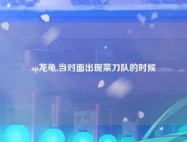 ap龙龟,当对面出现菜刀队的时候