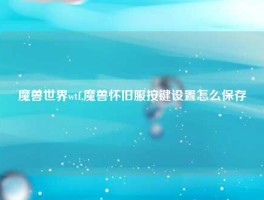 魔兽世界wtf,魔兽怀旧服按键设置怎么保存