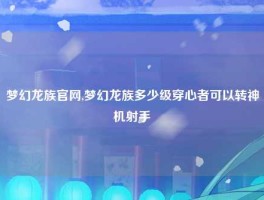 梦幻龙族官网,梦幻龙族多少级穿心者可以转神机射手