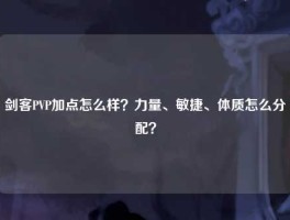 剑客PVP加点怎么样？力量、敏捷、体质怎么分配？