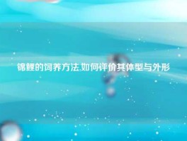 锦鲤的饲养方法,如何评价其体型与外形