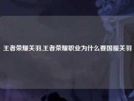 王者荣耀关羽,王者荣耀职业为什么要国服关羽