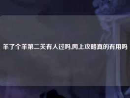 羊了个羊第二关有人过吗,网上攻略真的有用吗