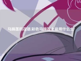 马蹄莲的花语,彩色马蹄莲上盆用什么土