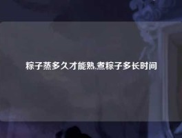 粽子蒸多久才能熟,煮粽子多长时间
