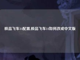 极品飞车14配置,极品飞车14如何改成中文版