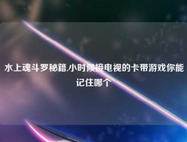 水上魂斗罗秘籍,小时候接电视的卡带游戏你能记住哪个