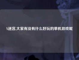 X迷宫,大家有没有什么好玩的单机游戏呢