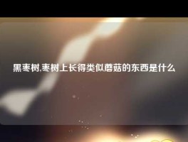 黑枣树,枣树上长得类似蘑菇的东西是什么