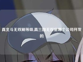 真北斗无双刷等级,真三国无双是哪个公司开发的