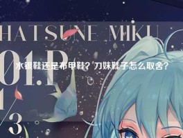 水银鞋还是布甲鞋？刀妹鞋子怎么取舍？