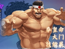 拳皇秘籍- 拳皇秘籍淬炼最高多少级