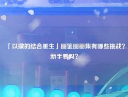 「以撒的结合重生」图鉴图画集有哪些挑战？新手看吗？