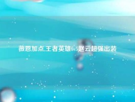薇恩加点,王者英雄5v5赵云超强出装