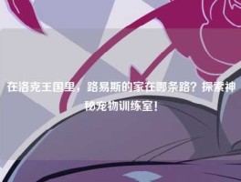 在洛克王国里，路易斯的家在哪条路？探索神秘宠物训练室！