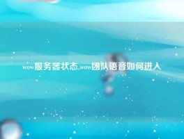 wow服务器状态,wow团队语音如何进入