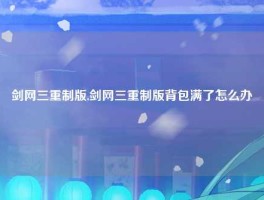 剑网三重制版,剑网三重制版背包满了怎么办