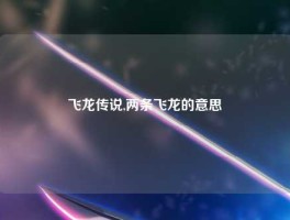 飞龙传说,两条飞龙的意思