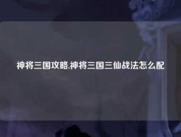 神将三国攻略,神将三国三仙战法怎么配