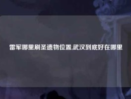 雷军哪里刷圣遗物位置,武汉到底好在哪里