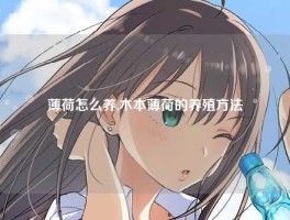 薄荷怎么养,木本薄荷的养殖方法