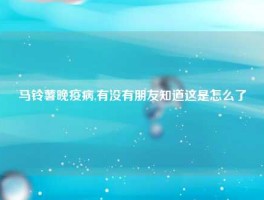 马铃薯晚疫病,有没有朋友知道这是怎么了