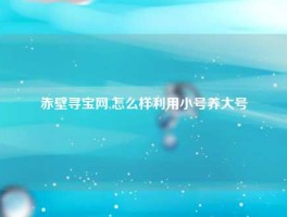 赤壁寻宝网,怎么样利用小号养大号