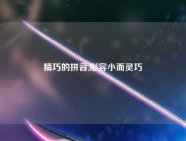精巧的拼音,形容小而灵巧
