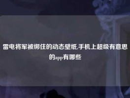 雷电将军被绑住的动态壁纸,手机上超级有意思的app有哪些