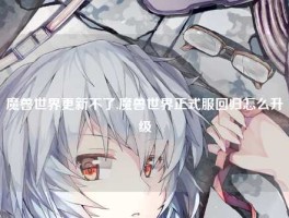 魔兽世界更新不了,魔兽世界正式服回归怎么升级