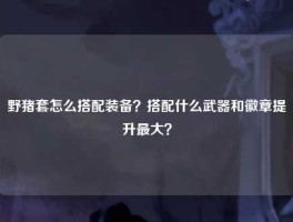 野猪套怎么搭配装备？搭配什么武器和徽章提升最大？