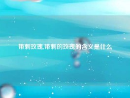 带刺玫瑰,带刺的玫瑰的含义是什么