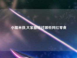 小糯米侠,大家都吃过哪些网红零食