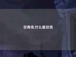 豆青虫,什么是豆虫