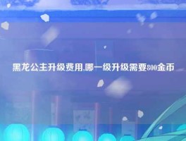 黑龙公主升级费用,哪一级升级需要800金币